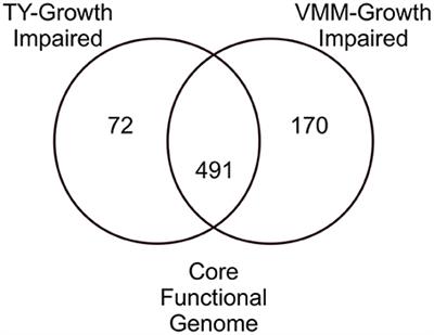 The Use of Transposon Insertion Sequencing to Interrogate the Core Functional Genome of the Legume Symbiont Rhizobium leguminosarum